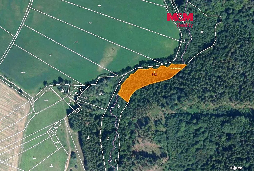 Prodej lesa 4280 m²